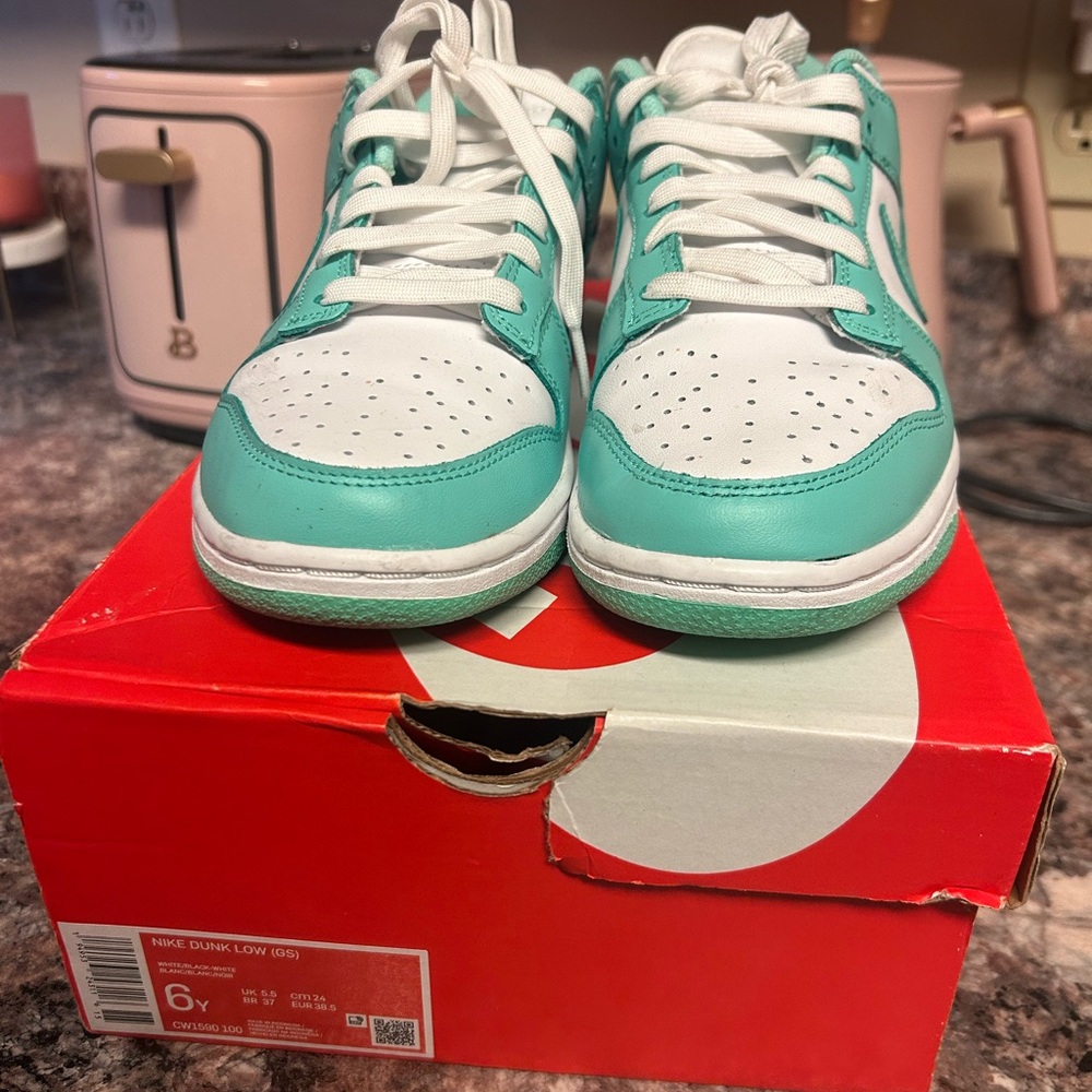 Nike Dunk Low GS Teal and White Sneakers